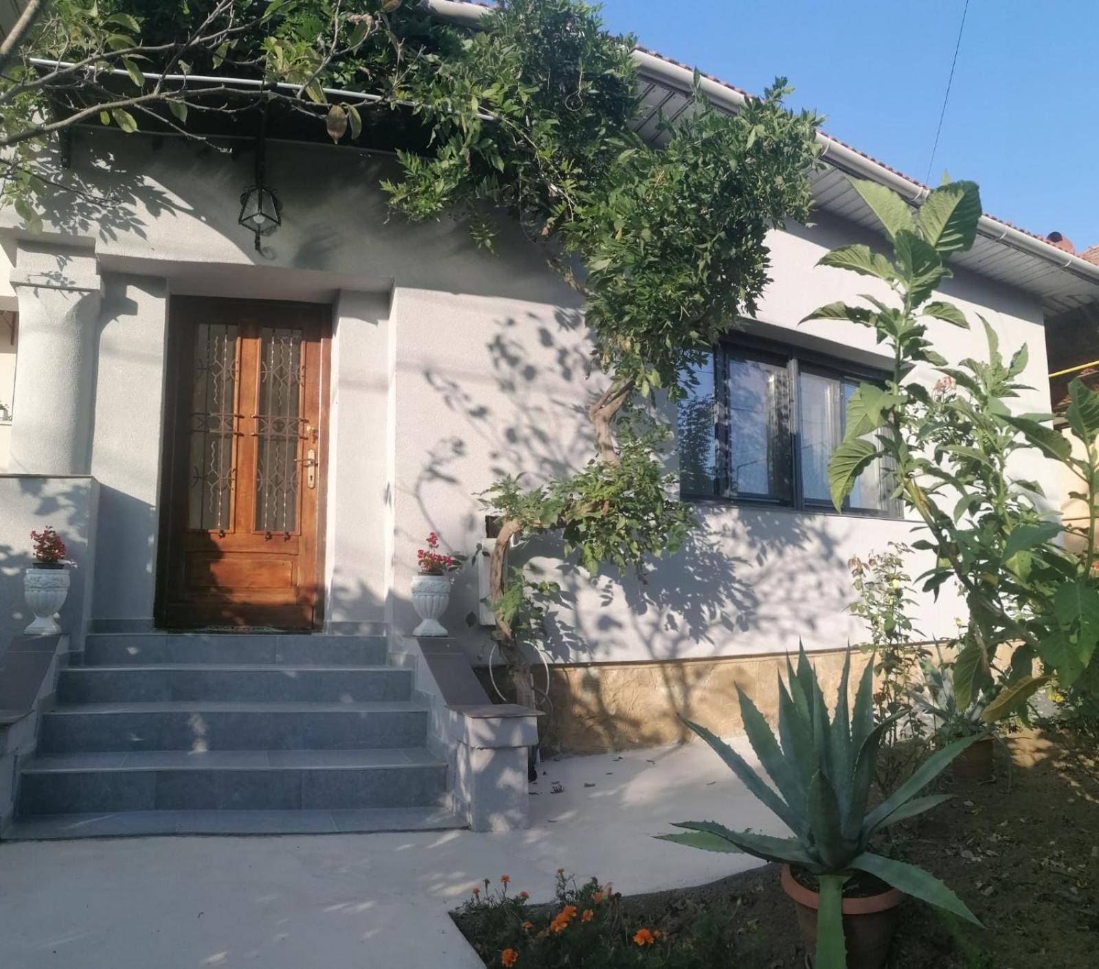 Casa Cu Trandafiri Villa Baia Mare Exterior photo